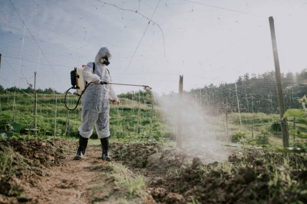 Best Affordable Pest Control Services  in North Lakeport, CA