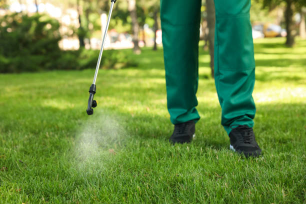 Best Insect Control  in North Lakeport, CA