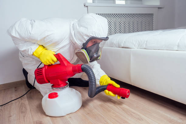 Wasp Removal Services in North Lakeport, CA