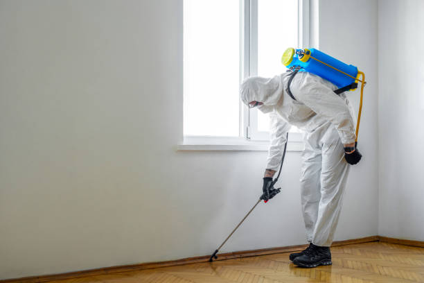 Best Local Pest Control Services  in North Lakeport, CA