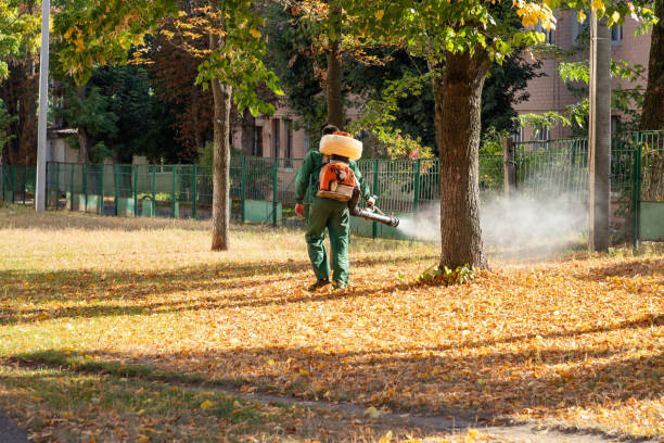 Best Residential Pest Control  in North Lakeport, CA